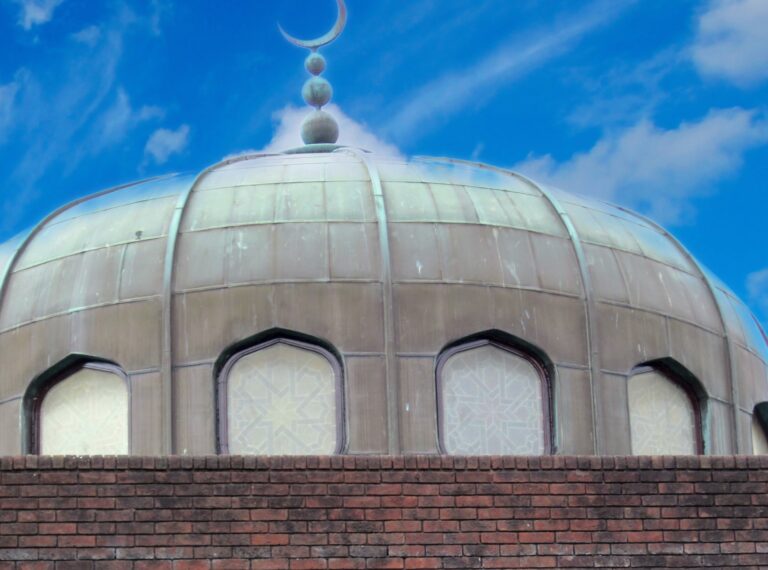 Exploring Mosques and Mosque Organisations